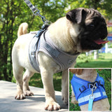 Reflective Cat Harness & Leash