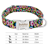 Nylon Dog Collar w/Engraved ID Tag