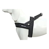 Soft Mesh Nylon Dog Harness