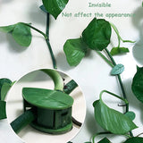 Climbing Plant Wall Fixture Clips