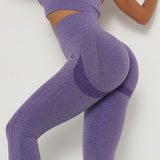High Waist Seamless Fitness Leggings