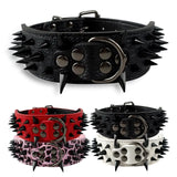 2" Wide Studded Leather Dog Collars