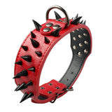 2" Wide Studded Leather Dog Collars