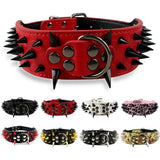 2" Wide Studded Leather Dog Collars