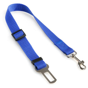 Car Seat Buckle Leash