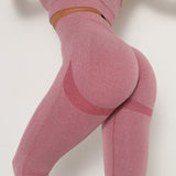 High Waist Seamless Fitness Leggings