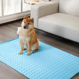 Summer Pet Cooling Mat