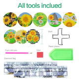 6Pcs DIY Diamond Painting Kit
