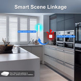 Carbon Monoxide Detector